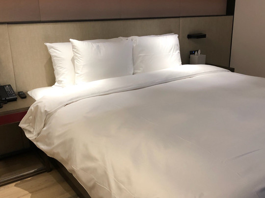 徐家汇禧玥酒店主图