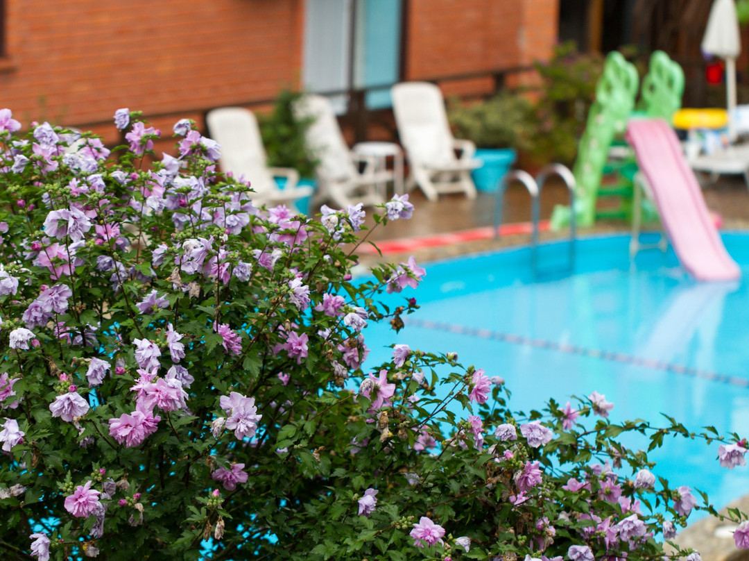 Guest House Rasskazova主图