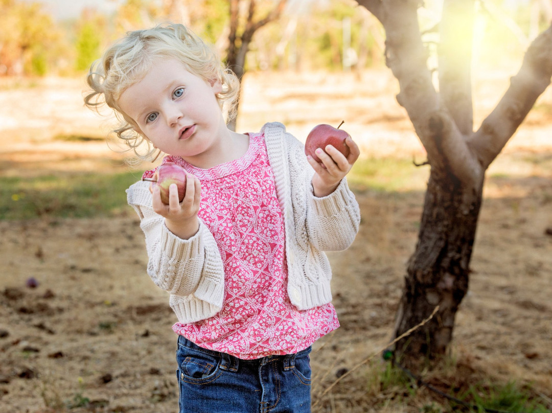 El Dorado County Chamber of Commerce-普莱瑟维尔必去景点