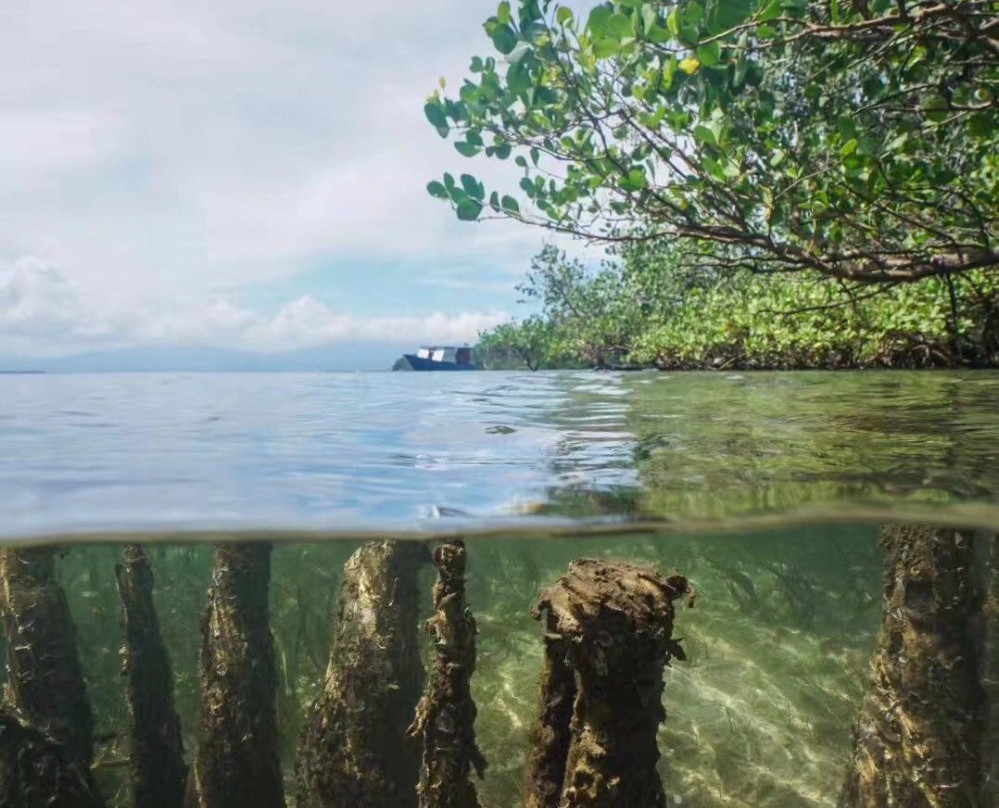 The Village Bunaken Resort主图