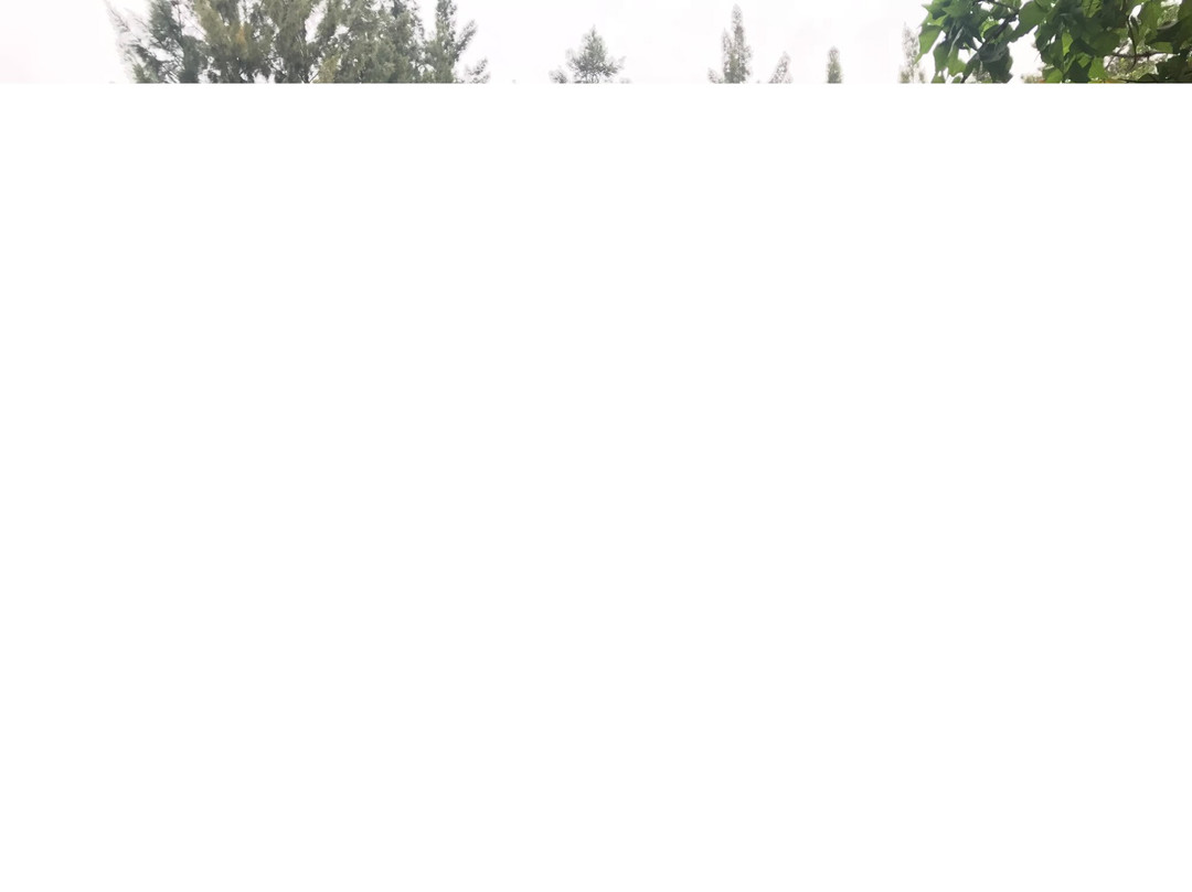 Rosedale Organic Farm B&B主图