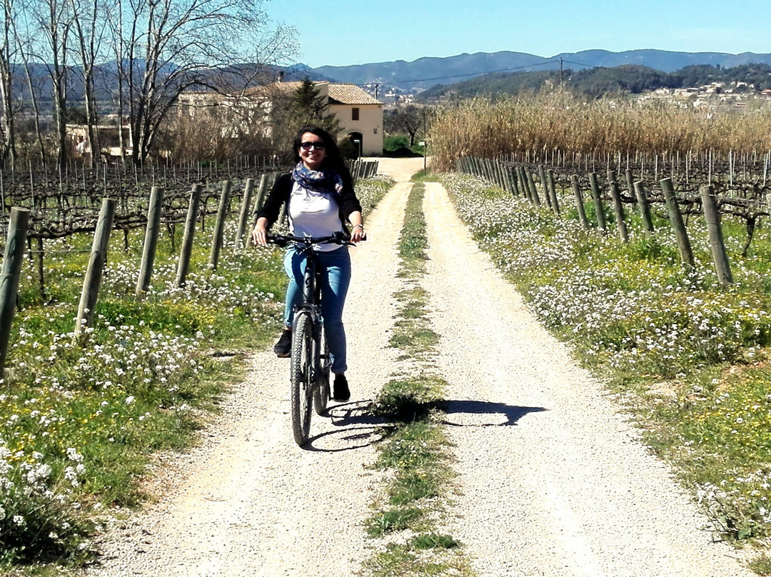 Penedes Ecotours-比拉夫兰卡德尔佩内德斯必去景点
