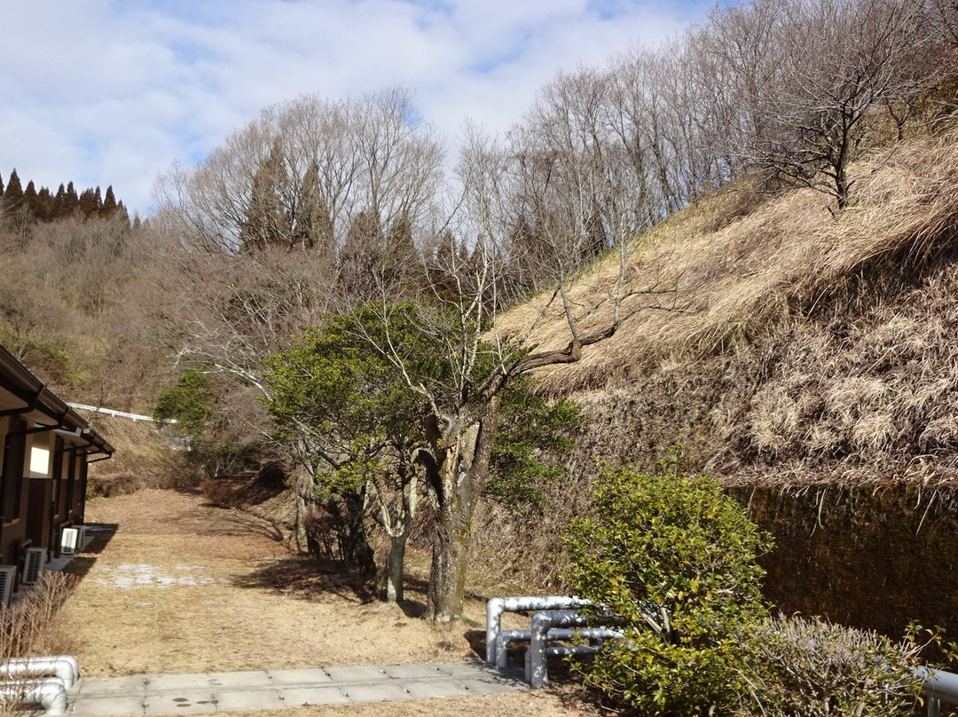 Oyubune Onsenkan景点图片