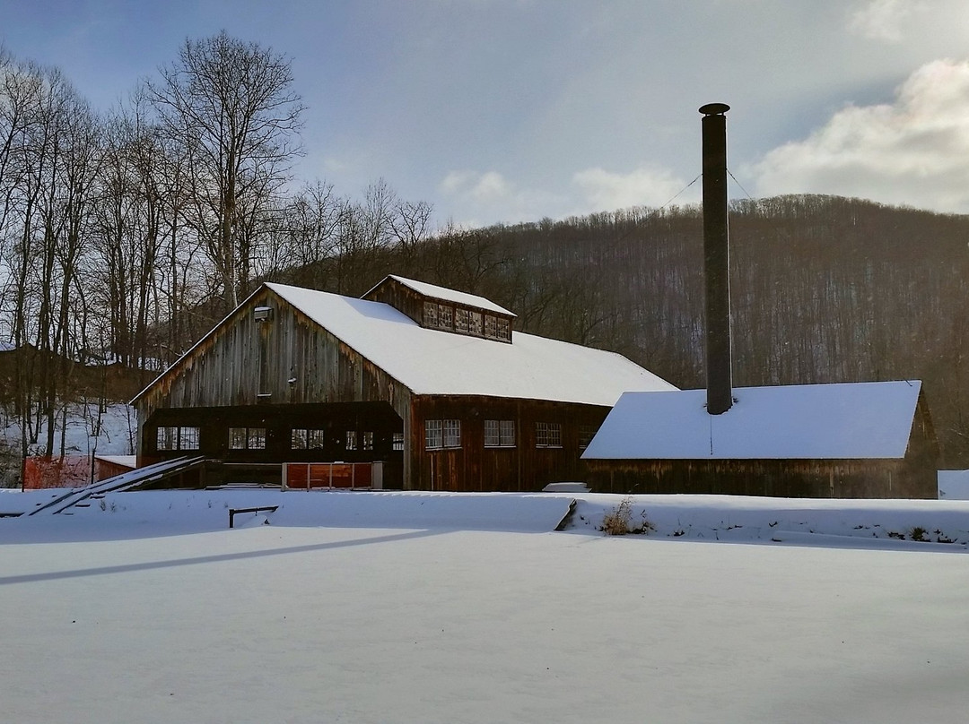 Pennsylvania Lumber Museum景点图片