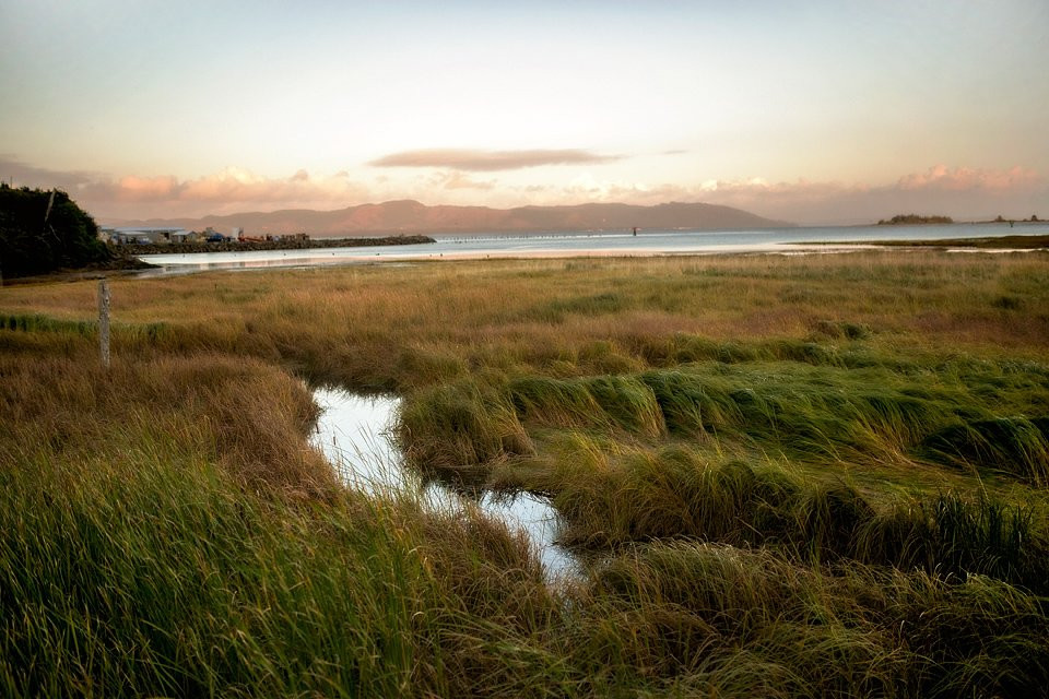 Ilwaco酒店住宿-Baker Bay Retreat