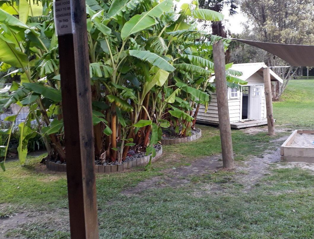 Smallgusta & Hot Pools-陶兰加必去景点