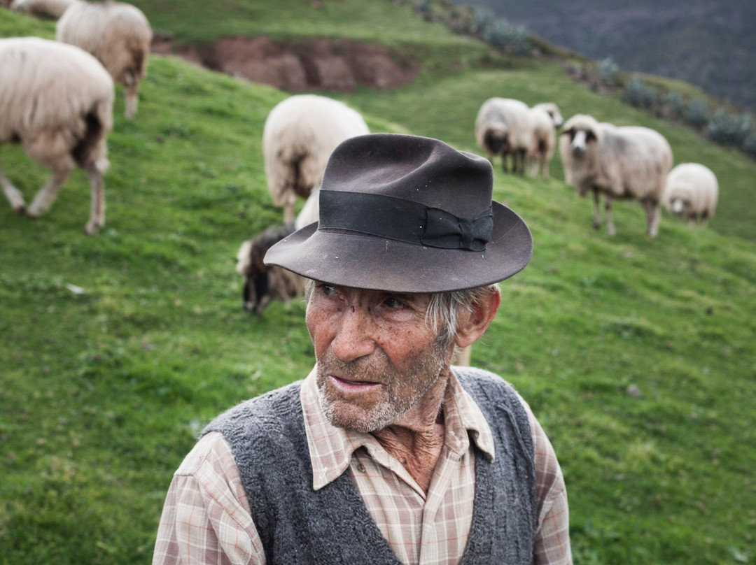 Pentaprisma Photography Workshops-大加那利岛拉斯帕尔马斯必去景点