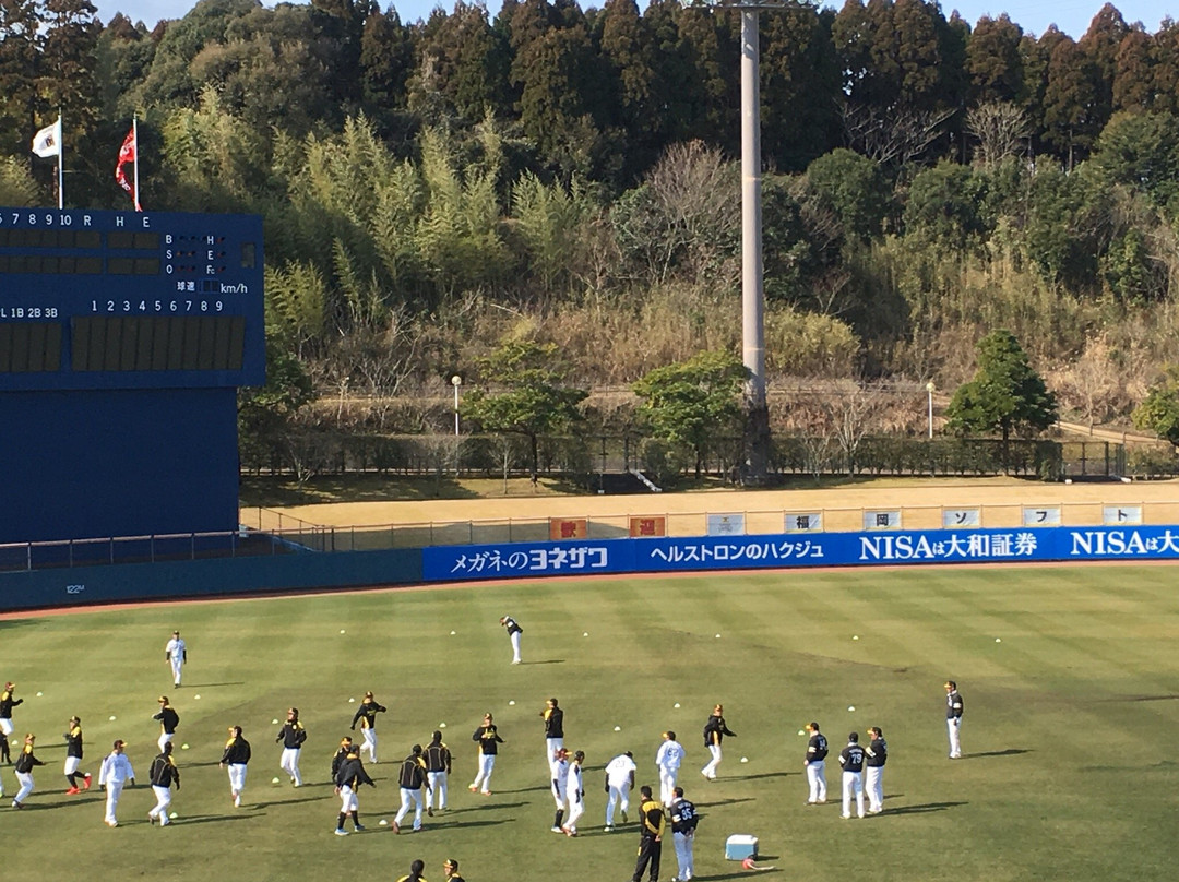 Ikimenomori Sports Park景点图片