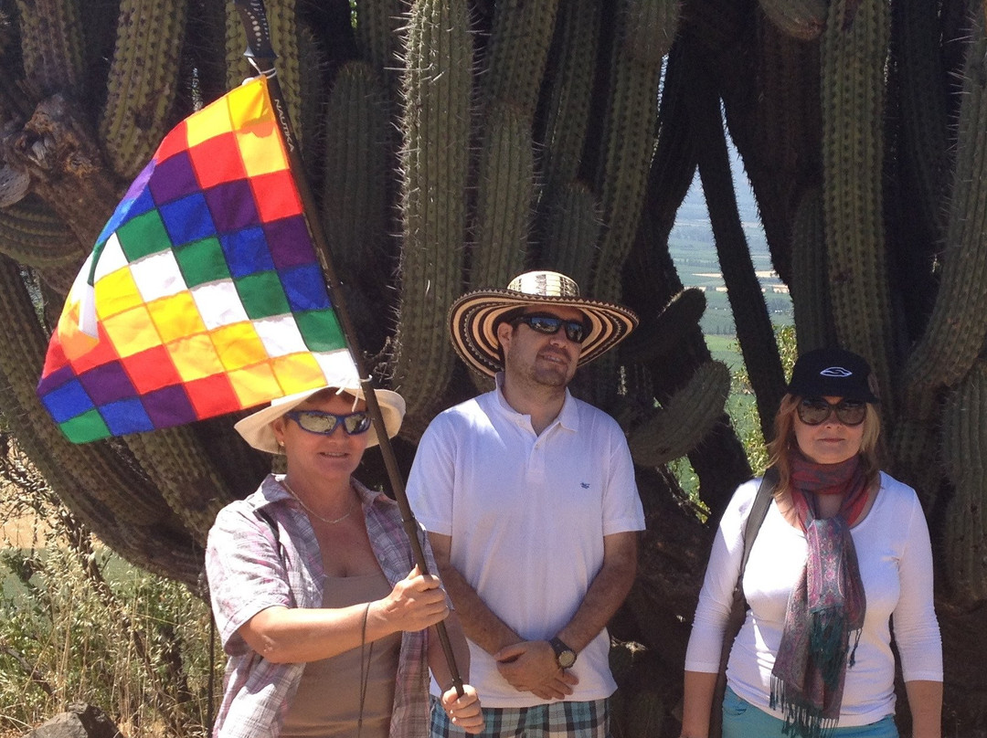 O'Higgins Tours - Day Tours-兰卡瓜必去景点