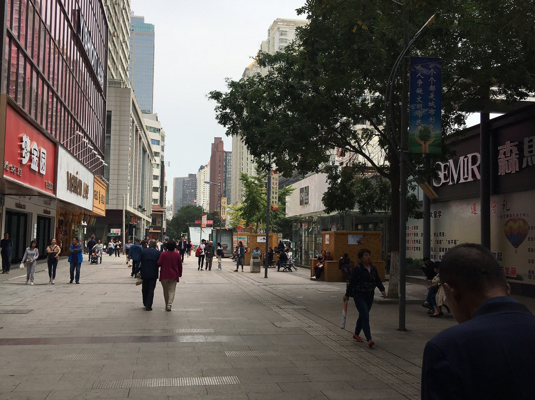 张掖路商业街景点图片