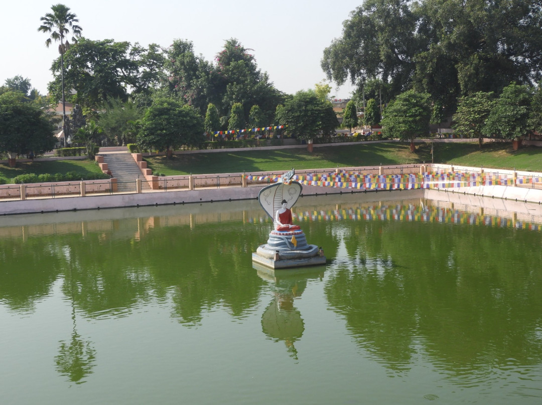 Muchalinda Lake景点图片