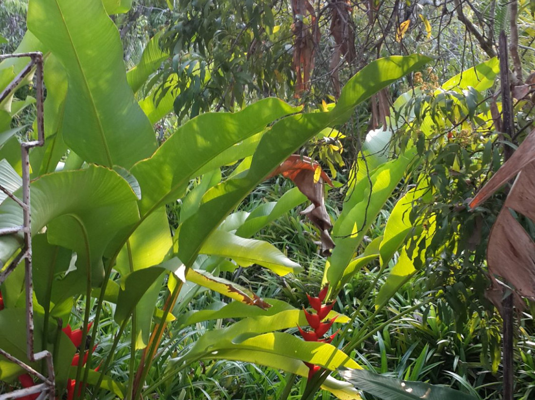 班本加希旅舍主图