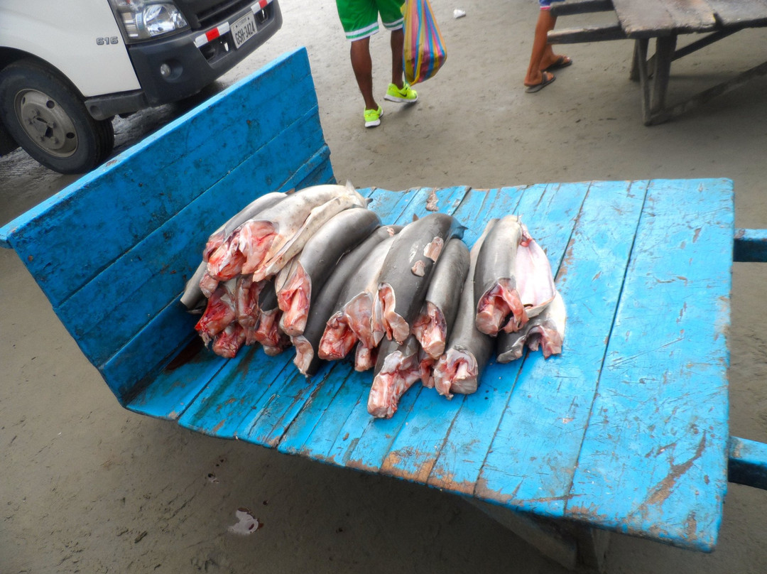 Malecon Escenico-曼塔必去景点