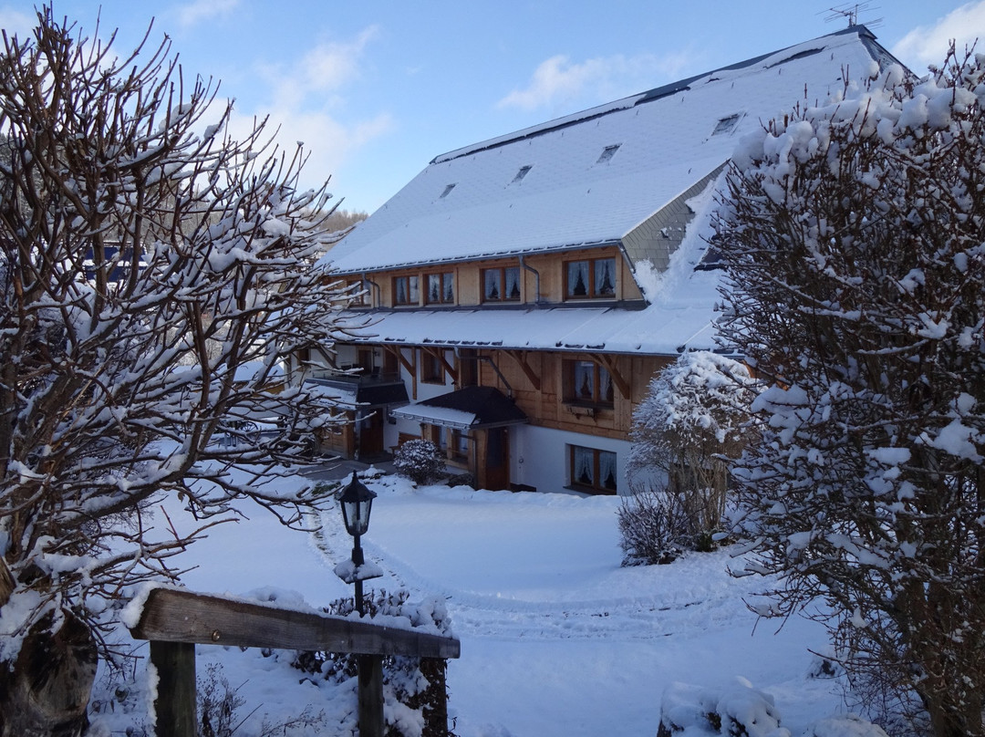 Schwarzwaldhaus Simmelehof
