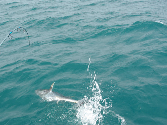 Exotic Fishing Mediterranee-Port-Saint-Louis-du-Rhone必去景点