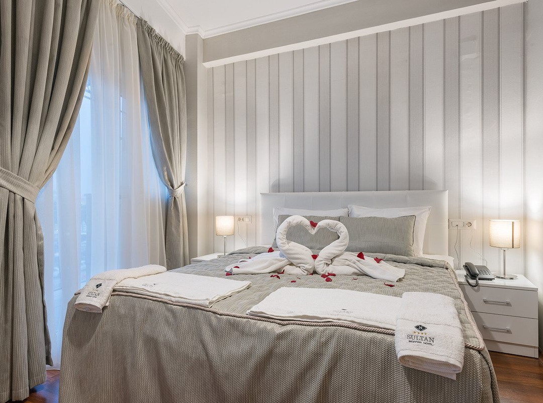 Sultan Modern Hotel主图