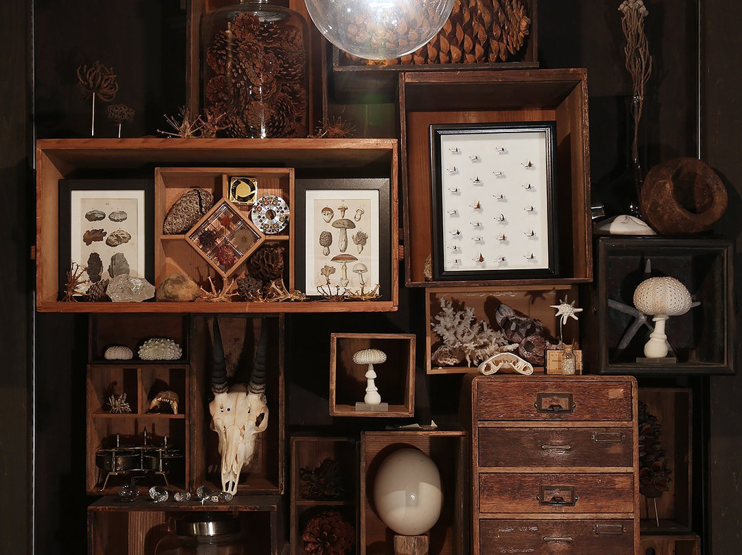 Usaginonedoko Kyoto Shop-京都市必去景点