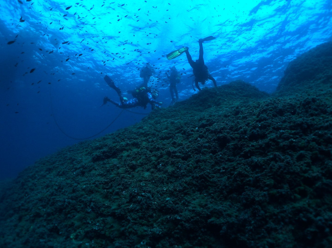 Buceo Cabo la Nao景点图片