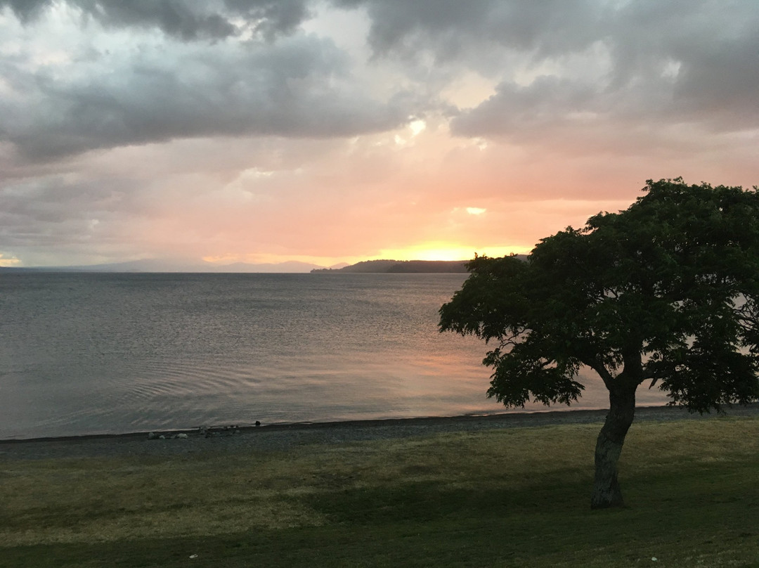 陶波湖畔小屋主图