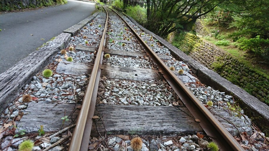 Umaji Shinrin Railway-马路村必去景点