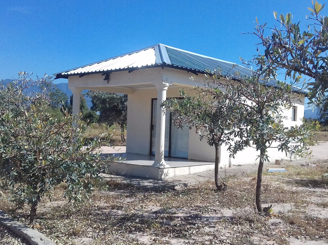 Moholoholo Lodge主图