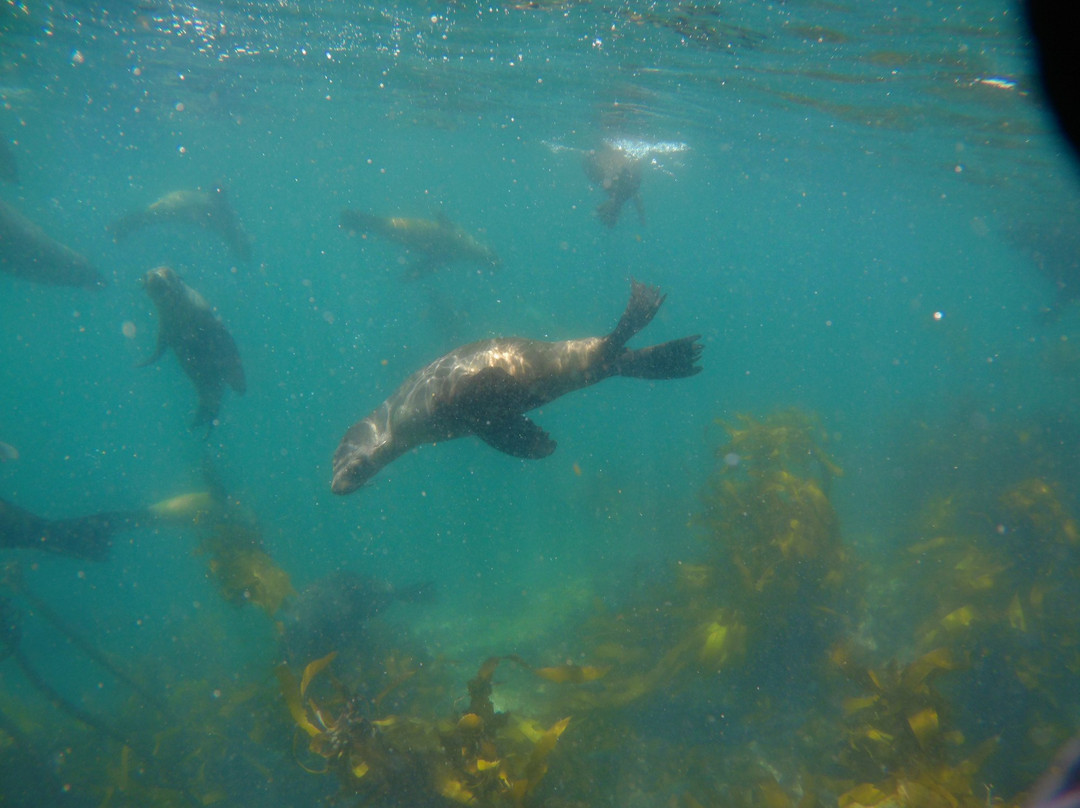 Shark Warrior Adventures-西门镇必去景点