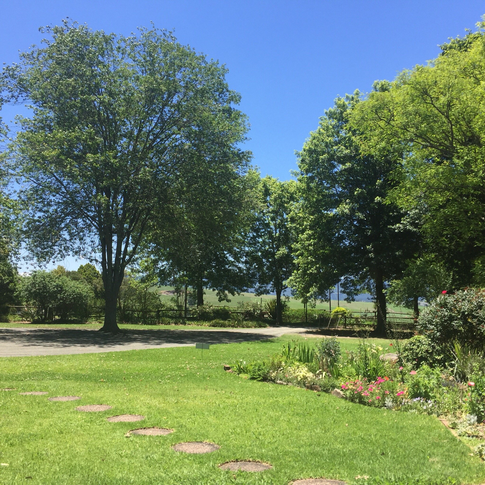 Smithfield Guest House-官方