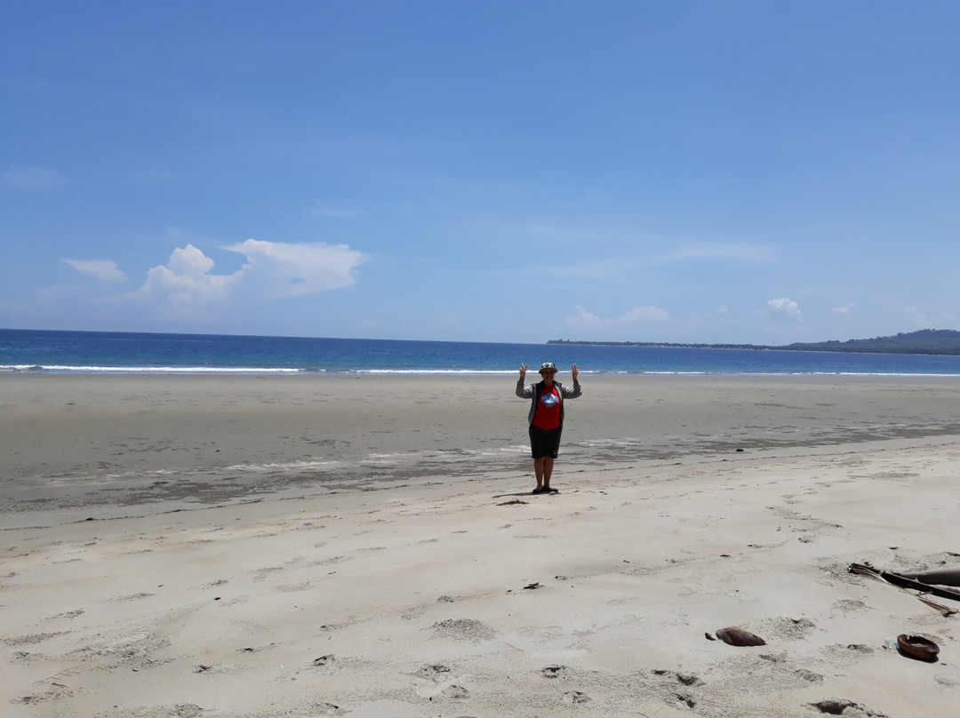 Taipa Beach景点图片