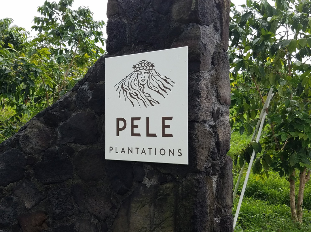 Pele Plantations-卡慕也拉必去景点