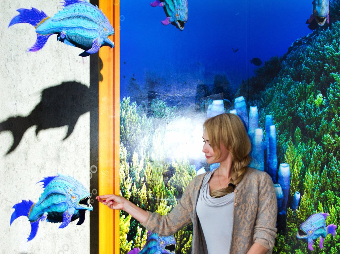3D Art Gallery-海参崴必去景点