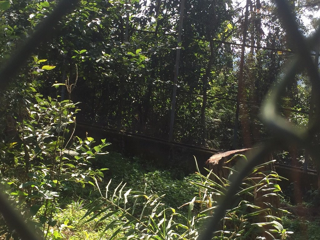 Manipur Zoological Gardens-因帕尔必去景点