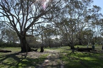 Moree Reserve-Kaniva必去景点