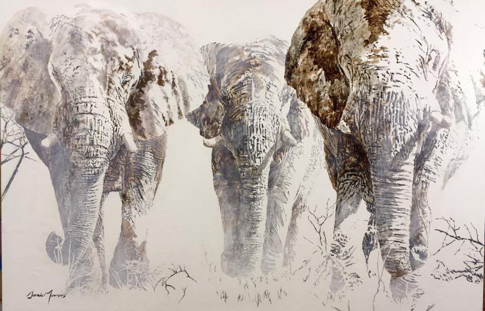 Marzé Botha Art Gallery-斯泰伦博斯必去景点