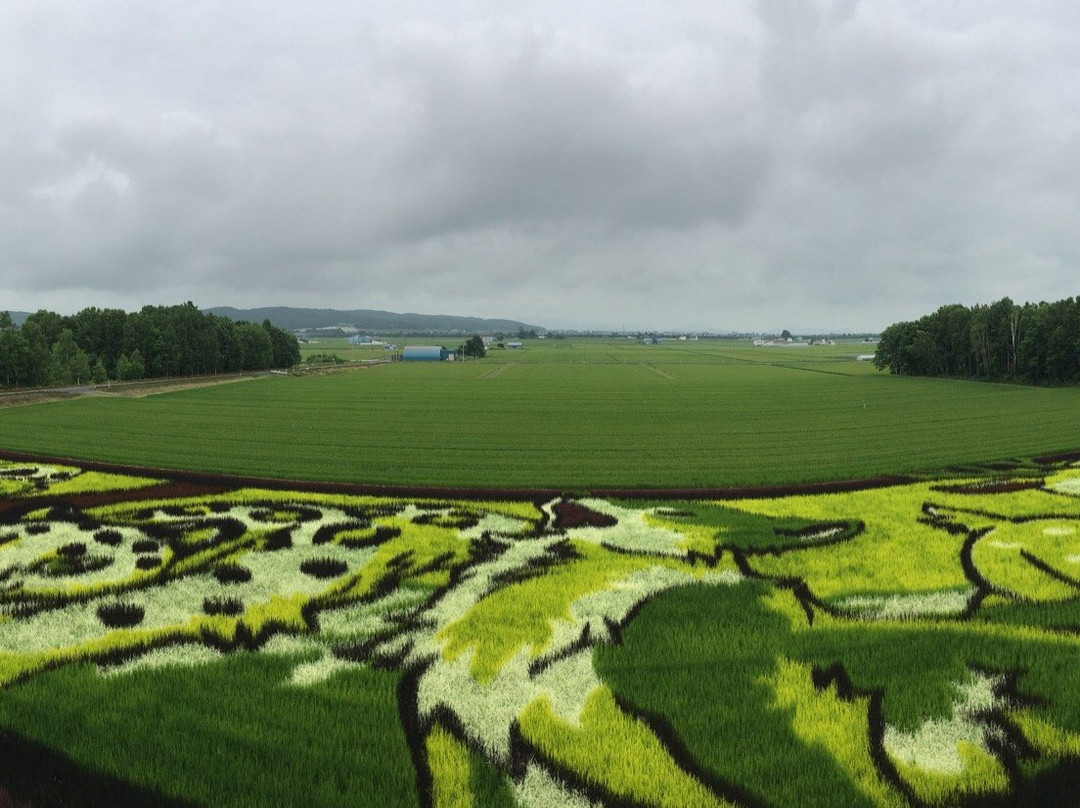 Tambo Art-旭川市必去景点