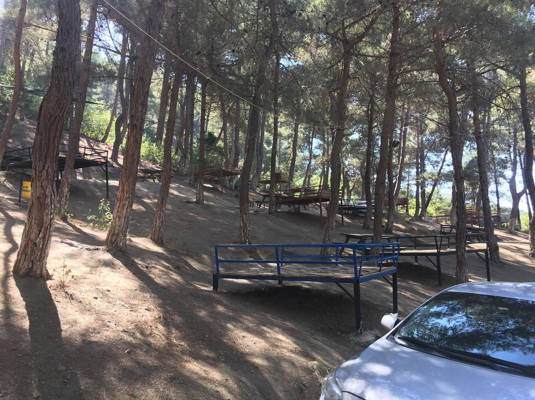 Sogukoluk (Guzelyayla) Piknik Alani景点图片