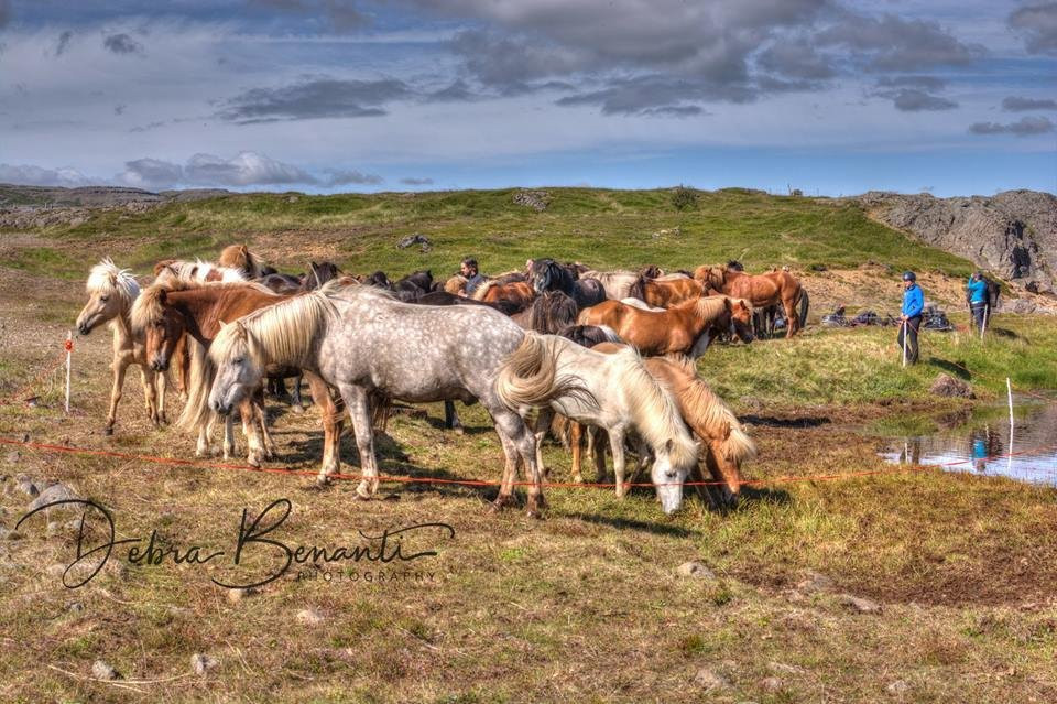 America 2 Iceland-博尔加内斯必去景点