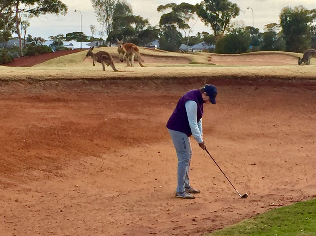 Kalgoorlie Golf Course-卡尔古利必去景点