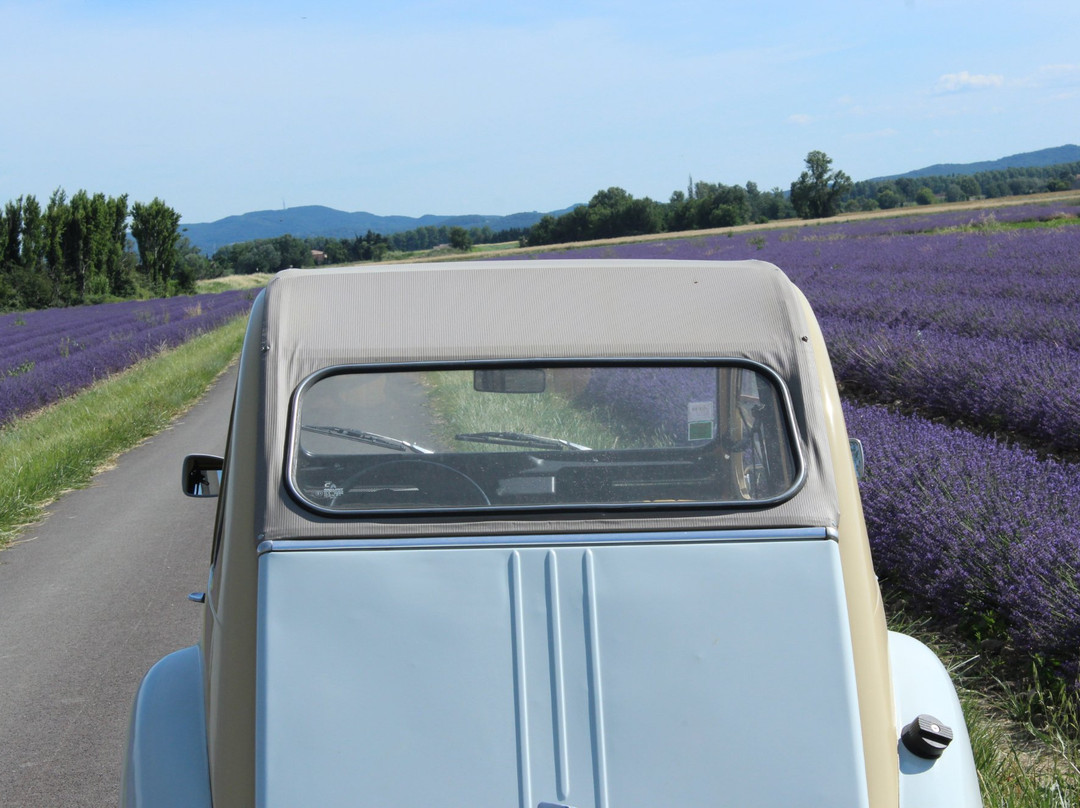 Virée Insolite en Provence-Bollene必去景点