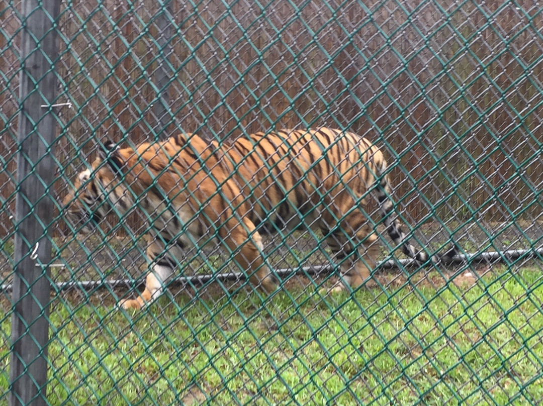 Popcorn Park Animal Refuge景点图片