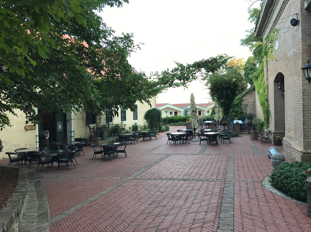 伊洛克酒店住宿-Stari Podrum