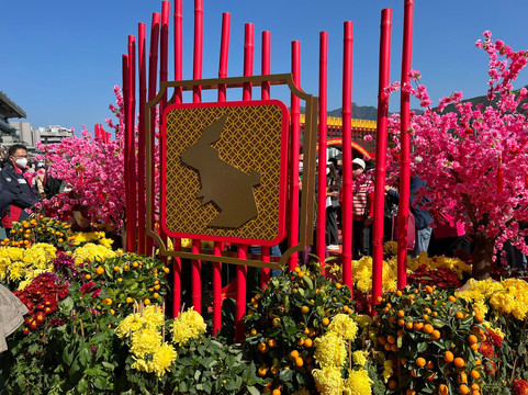 Shatin Racecourse Experience-香港必去景点