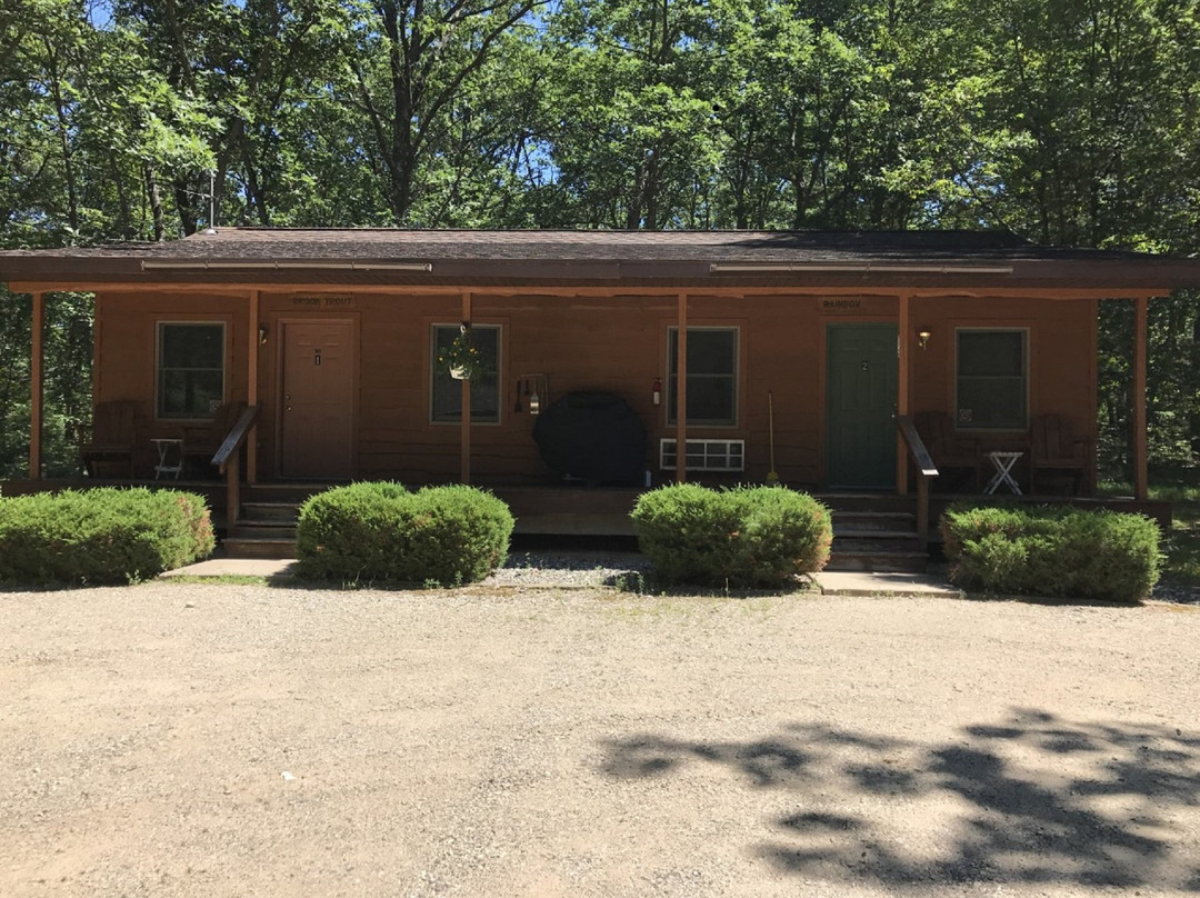 D-Loop Outfitters