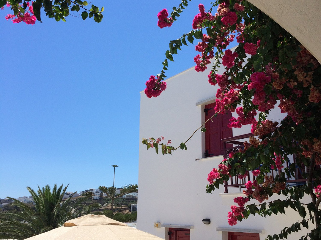 Akrogiali Hotel主图