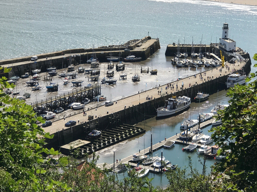 Harbour View景点图片