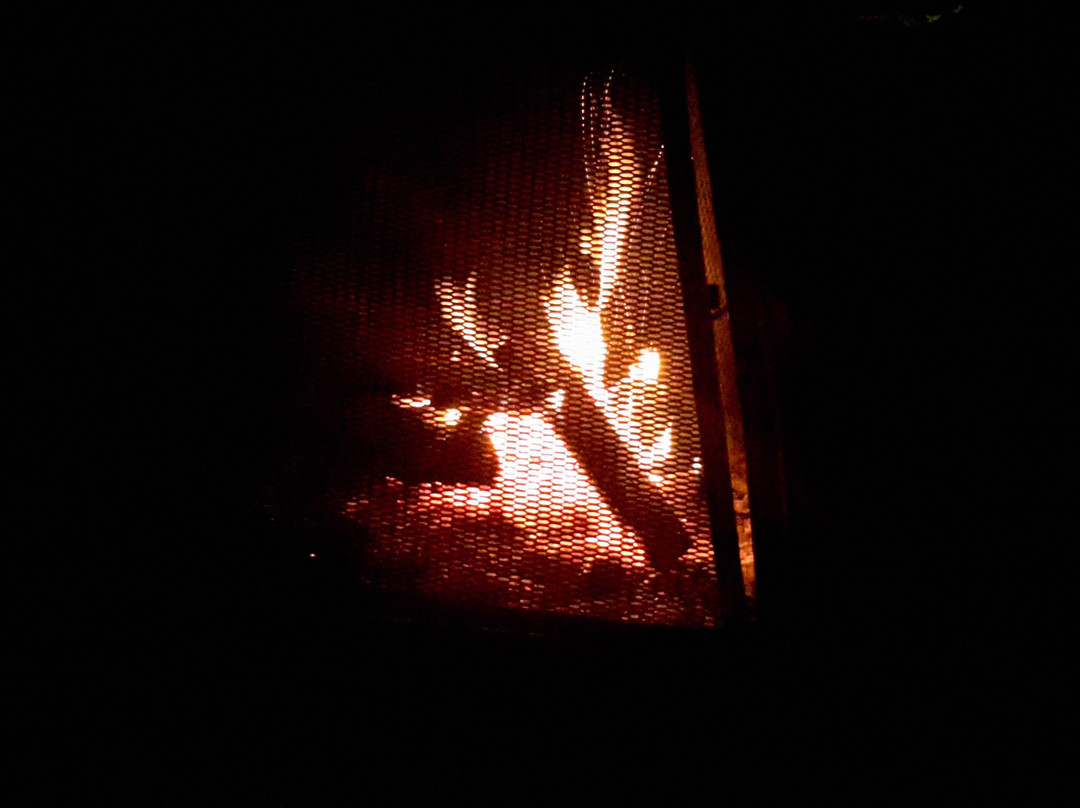 Chalets-Motel Domaine aux Cygnes主图