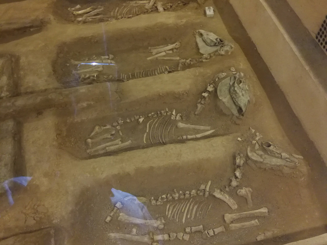 西周燕都遗址博物馆-北京市必去景点