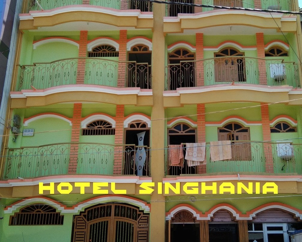 Hotel Singhania主图