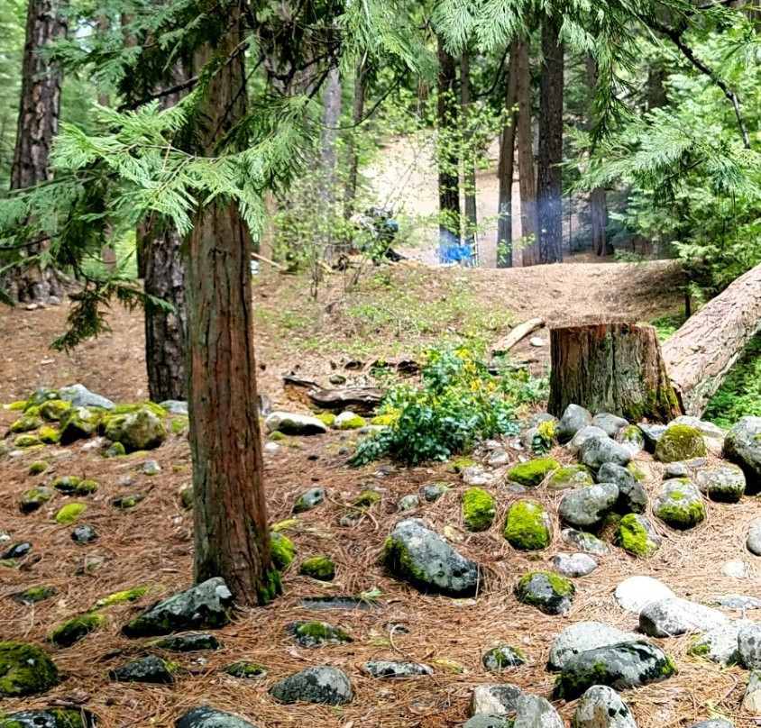 Pipi Campground