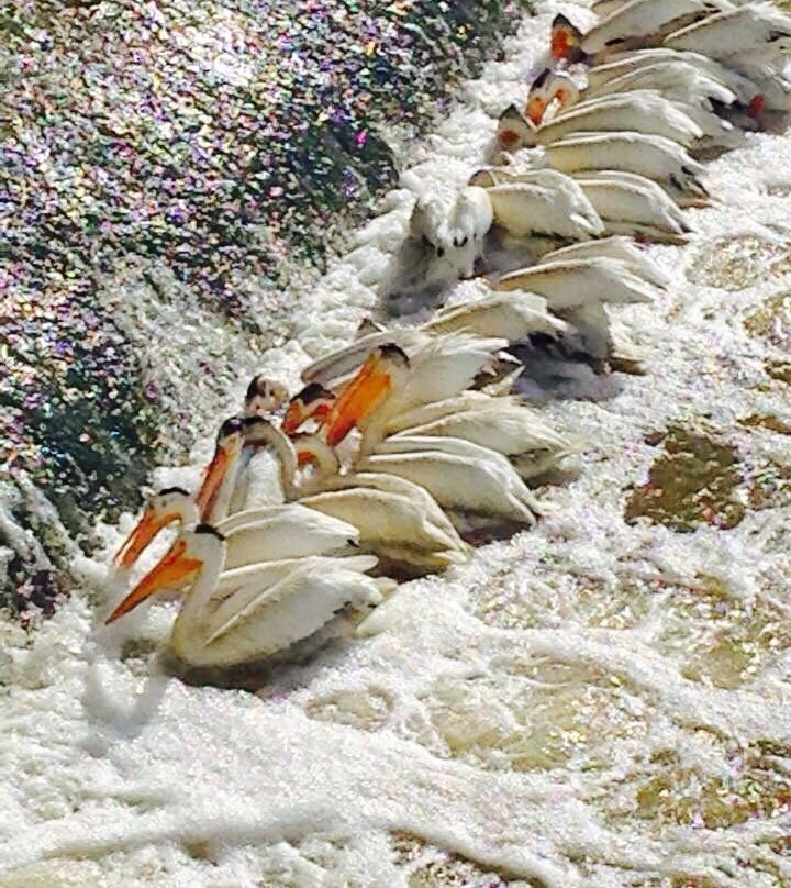 Lockport Provincial Park-Lockport必去景点