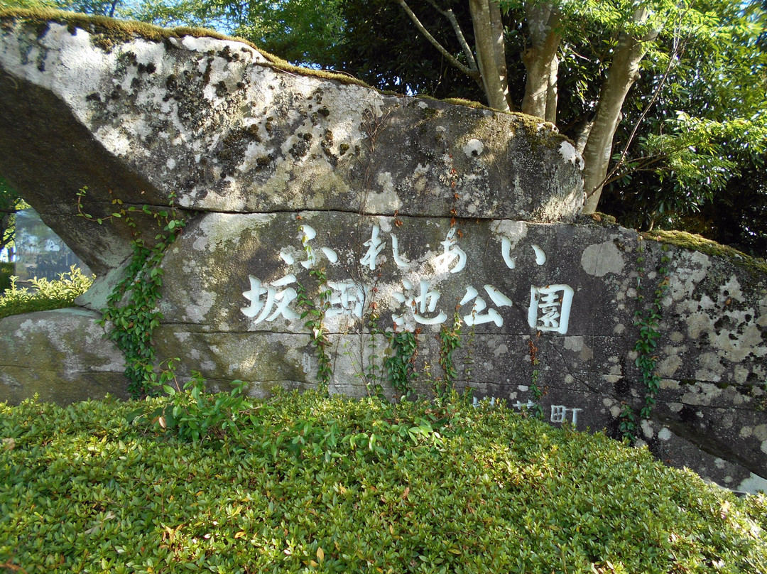Fureai Sakataike Park-横芝光町必去景点